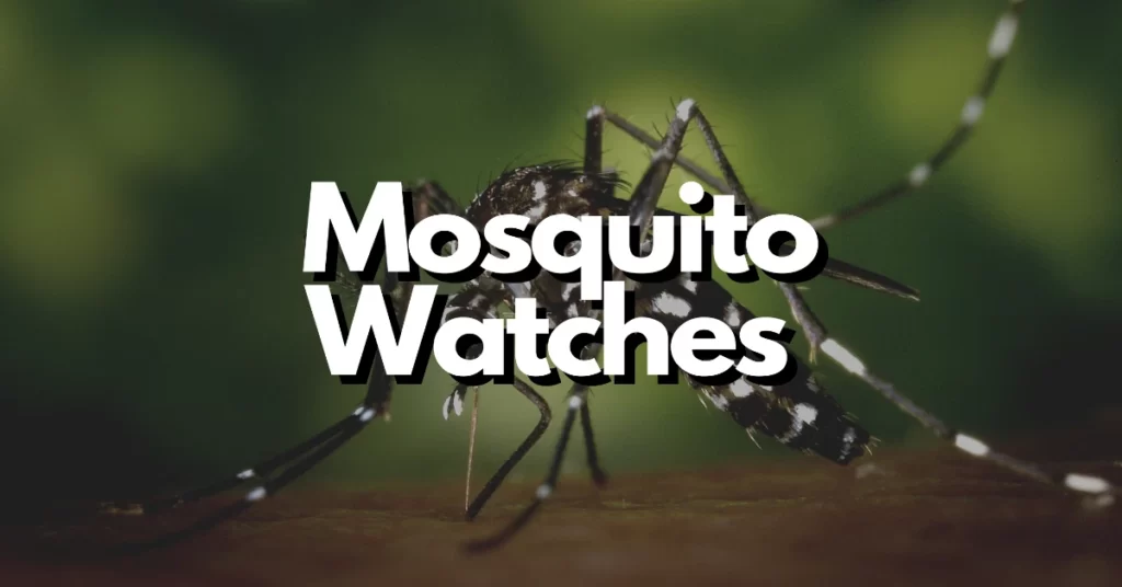 What is mosquito watch